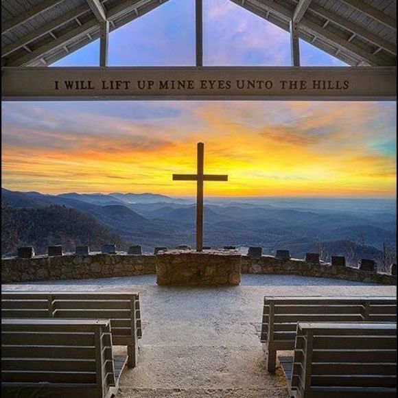 Meet your Posher, Kelly - Picture 1 of 1